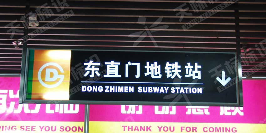 �̈����Ɵ���ָʾ��509